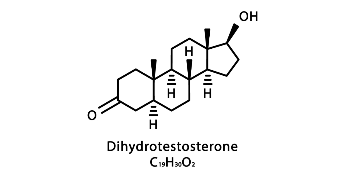 男性ホルモン