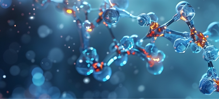 IGF（Insulin-like Growth Factor）