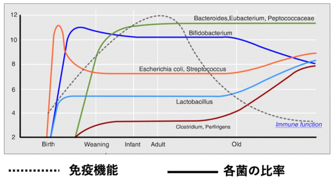 1. 慢性便秘症状